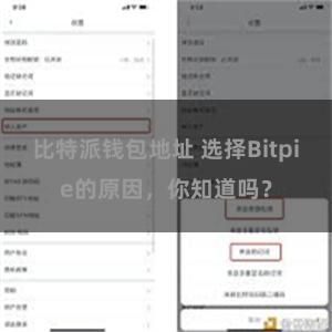 比特派钱包地址 选择Bitpie的原因，你知道吗？