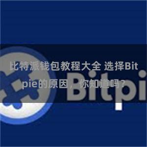 比特派钱包教程大全 选择Bitpie的原因，你知道吗？