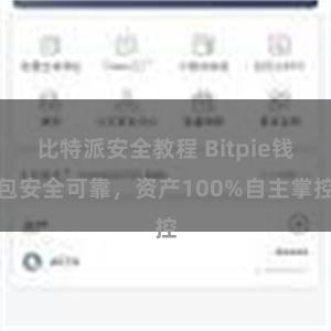 比特派安全教程 Bitpie钱包安全可靠，资产100%自主掌控