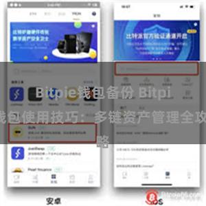 Bitpie钱包备份 Bitpie钱包使用技巧：多链资产管理全攻略