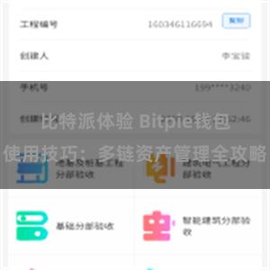 比特派体验 Bitpie钱包使用技巧：多链资产管理全攻略