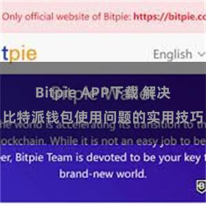 Bitpie APP下载 解决比特派钱包使用问题的实用技巧