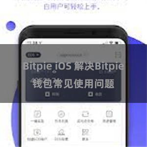 Bitpie iOS 解决Bitpie钱包常见使用问题