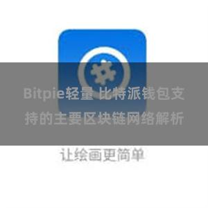 Bitpie轻量 比特派钱包支持的主要区块链网络解析