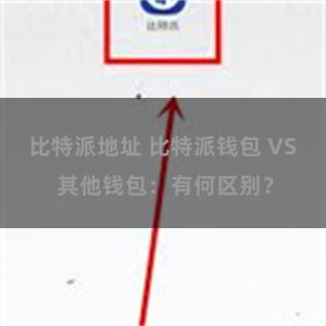 比特派地址 比特派钱包 VS 其他钱包：有何区别？