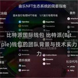 比特派国际钱包 比特派(Bitpie)钱包的团队背景与技术实力