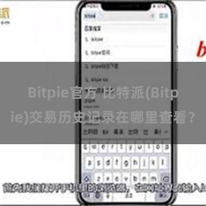 Bitpie官方 比特派(Bitpie)交易历史记录在哪里查看？